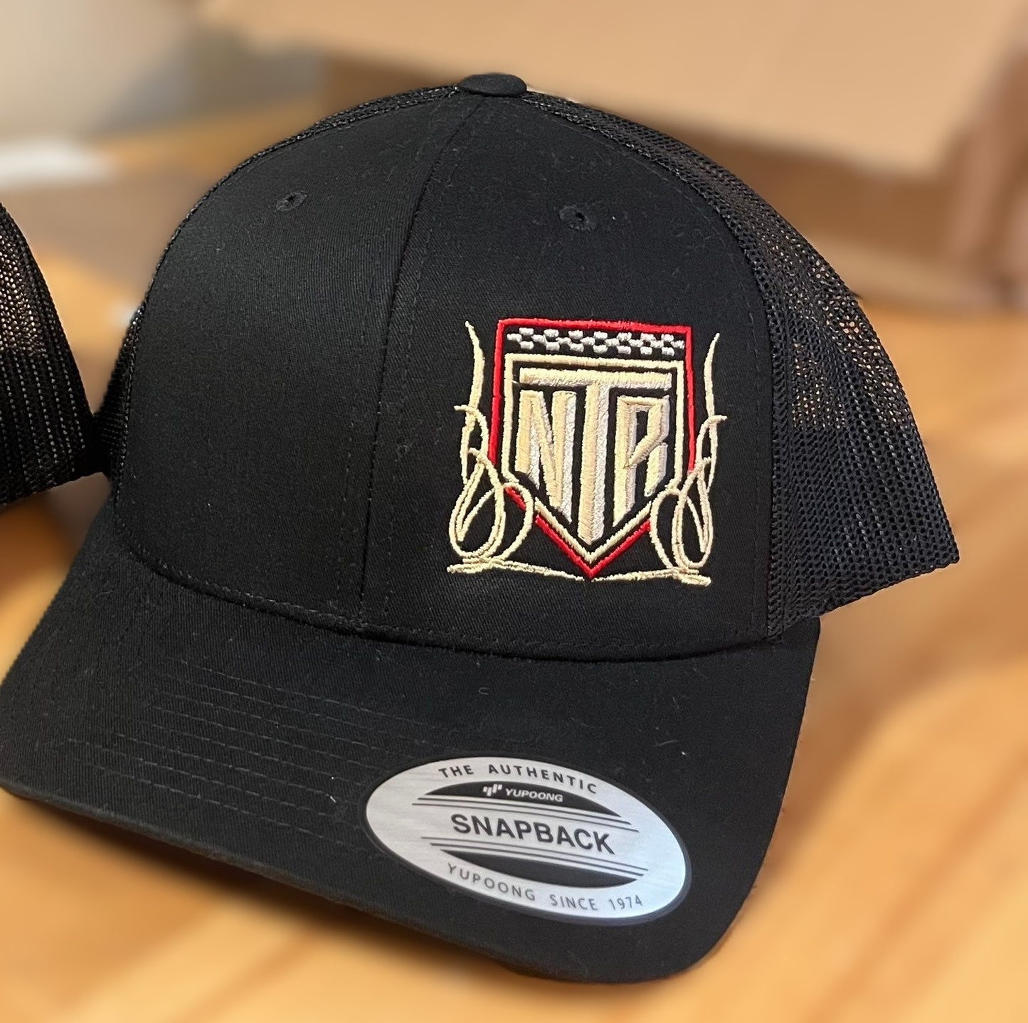NTR Pinstripe logo Snapback Hat