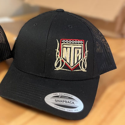NTR Pinstripe logo Snapback Hat